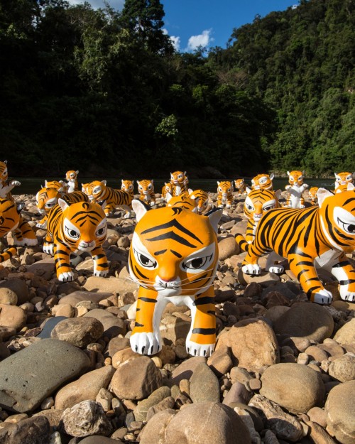WWF "Double Tigers"